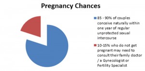 pregnancy-cycle